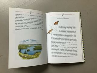 Nils Holgerssons wunderbare Reise