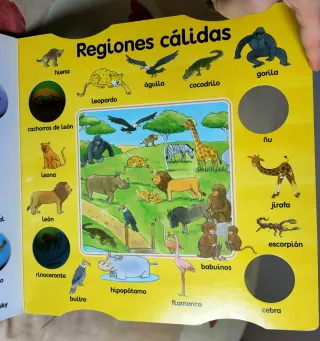 Cuento de Animales: Gira la rueda encuentra dibujo