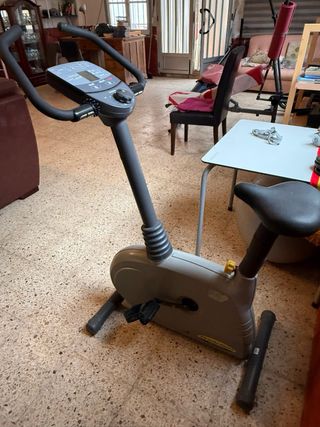 Bicicleta Estática Gris