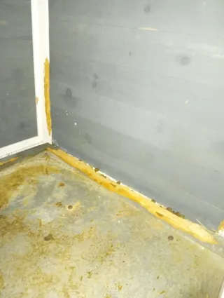 Jaula para conejo/cobaya