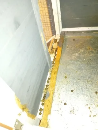 Jaula para conejo/cobaya