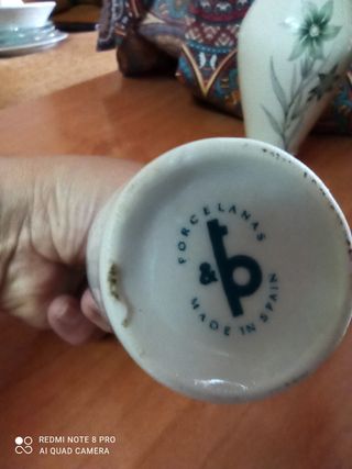 Antichi vasi in porcellana. Decorazione floreale.