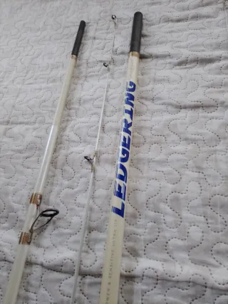 Cañas de Pesca para Dorada