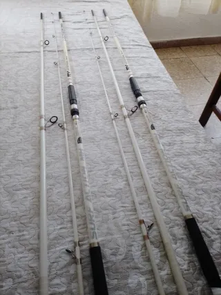 Cañas de Pesca para Dorada