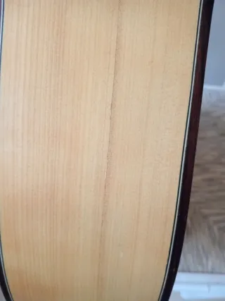 Guitarra Flamenca tomas leal mejias