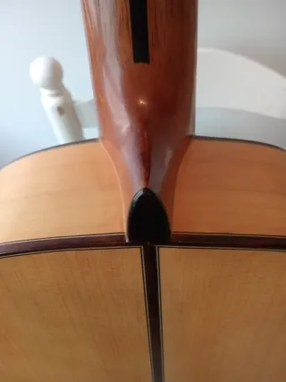 Guitarra Flamenca tomas leal mejias