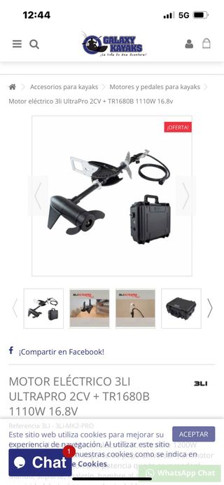 Vendo motor kayak 3LI de 2cv