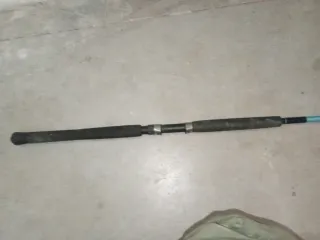 Caña de siluro spinning 2,20cm Precio negociable