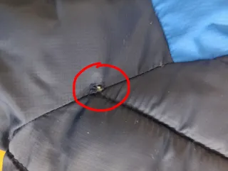 Plumas niño Authentic Outdoor Co.