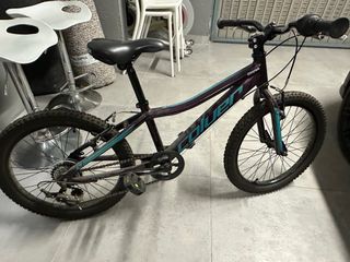 Bicicleta infantil Coluer 20 morada