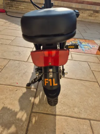 Bici elettrica UrLife F1L