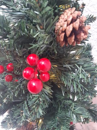 2 alberi di Natale con luci