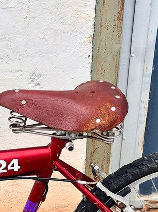 Bicicleta Infantil Yeti 24 Pulgadas coluer