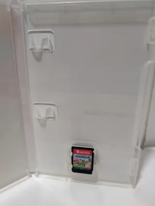 Minecraft Nintendo Switch