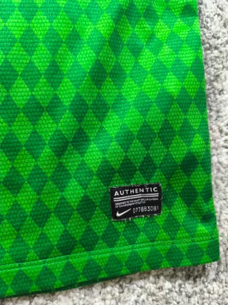 Camiseta Nike Werder Bremen Verde 2013