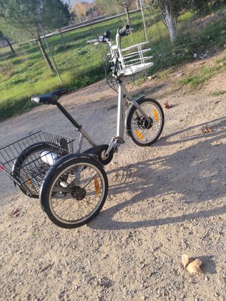 Bicicleta triciclo con cesta