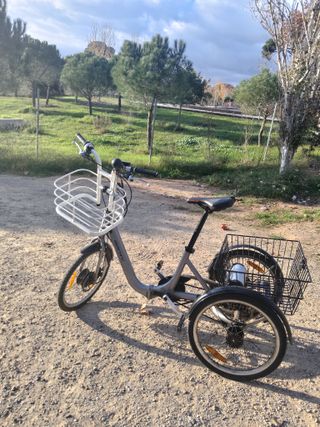Bicicleta triciclo con cesta