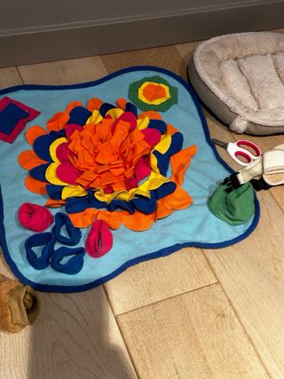 Accesorios para perro (pack)