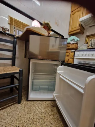 Mini frigorifero con congelatore indipendente