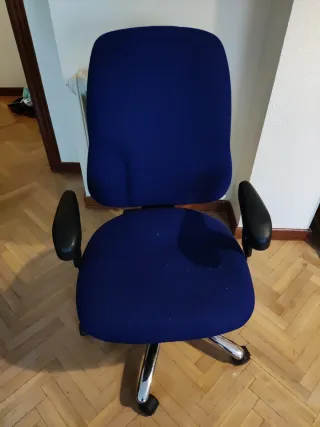 Sedia da ufficio ergonomica blu