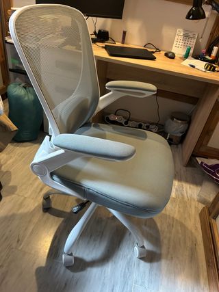 Sedia ergonomica da ufficio