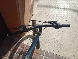 Bicicleta Infantil JL-WENTI 20 pulgadas