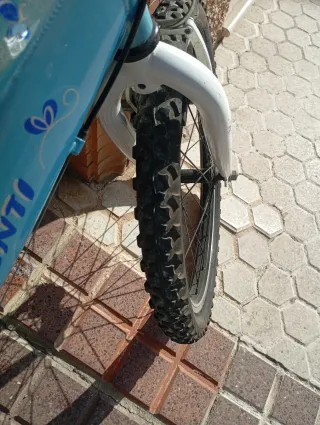 Bicicleta Infantil JL-WENTI 20 pulgadas