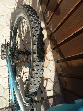 Bicicleta Infantil JL-WENTI 20 pulgadas