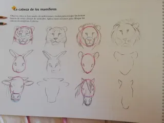 Plástica para Niños