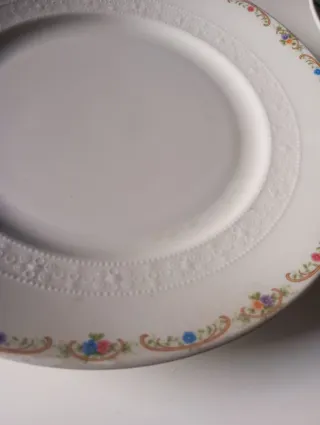 Platos antiguos de porcelana con diseño floral