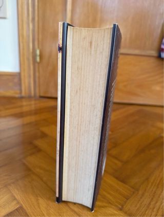 La historia del loco (Spanish Edition)