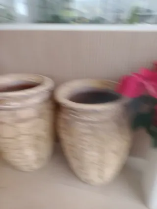 Vasi in ceramica e plastica