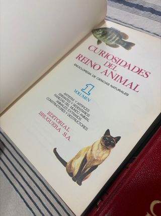 curiosidades del mundo animal