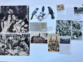 Raccolta di carta antica e ritagli di riviste, libri