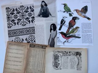 Lote di carta antica, ritagli da libri e riviste