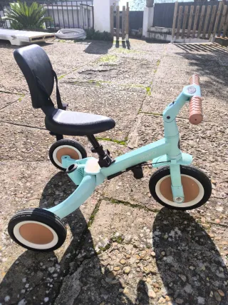 Triciclo Evolutivo Olmitos