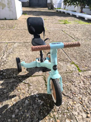 Triciclo Evolutivo Olmitos