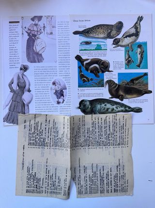 Lote di carta antica e ritagli da libri e riviste