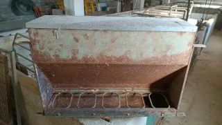 Comederos para cerdos