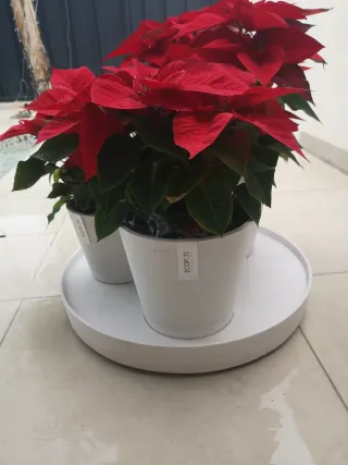 Set di 3 vasi bianchi