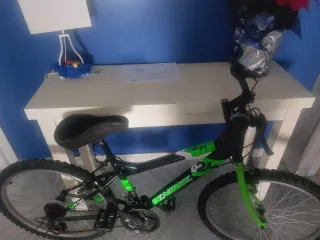 Bicicleta Montaña Verde/Negra