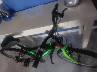 Bicicleta Montaña Verde/Negra