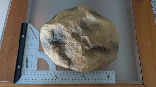 Cueva y bebedero para reptiles