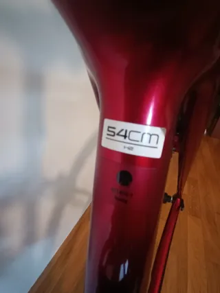 Bicicleta Carretera TREK Taglia 54