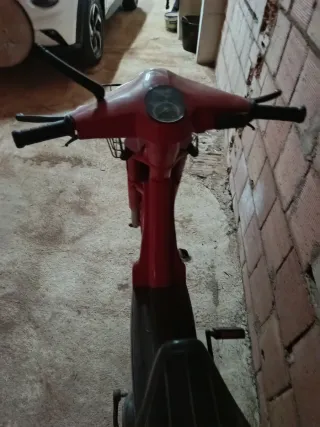 Vespinos sin papeles - 100€ / Blanco 50€