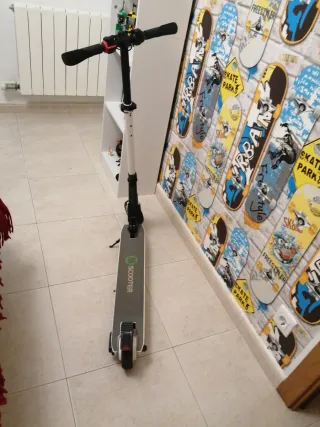 Patín Eléctrico Plegable Gris