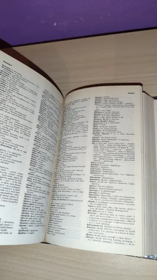 Diccionario bilingüe Español-Inglés