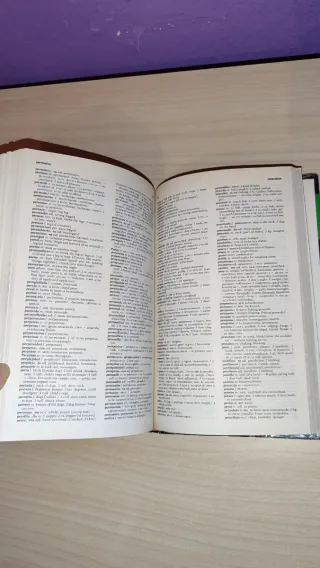 Diccionario bilingüe Español-Inglés