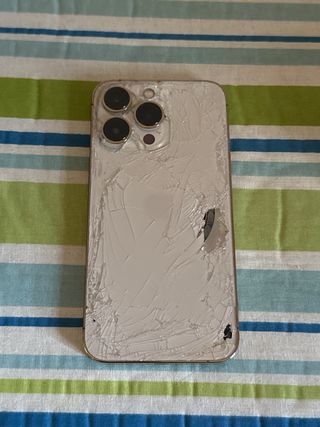 iPhone 13 Pro Oro Non Funzionante