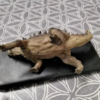 Dinosaurio Ankylosaurus